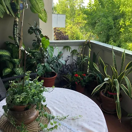 Habitación en casa particular Fior Di Loto