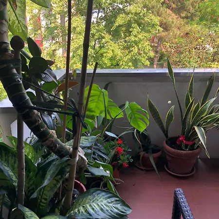 Fior Di Loto Habitación en casa particular Rávena