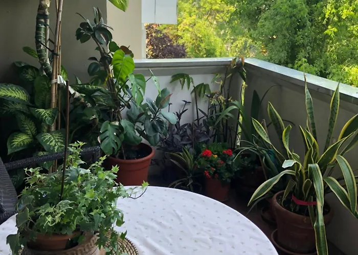 Habitación en casa particular Fior Di Loto