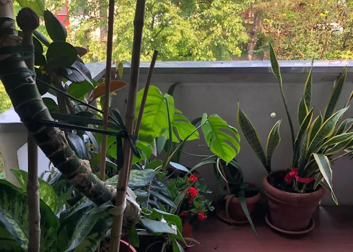 Fior Di Loto Habitación en casa particular Rávena